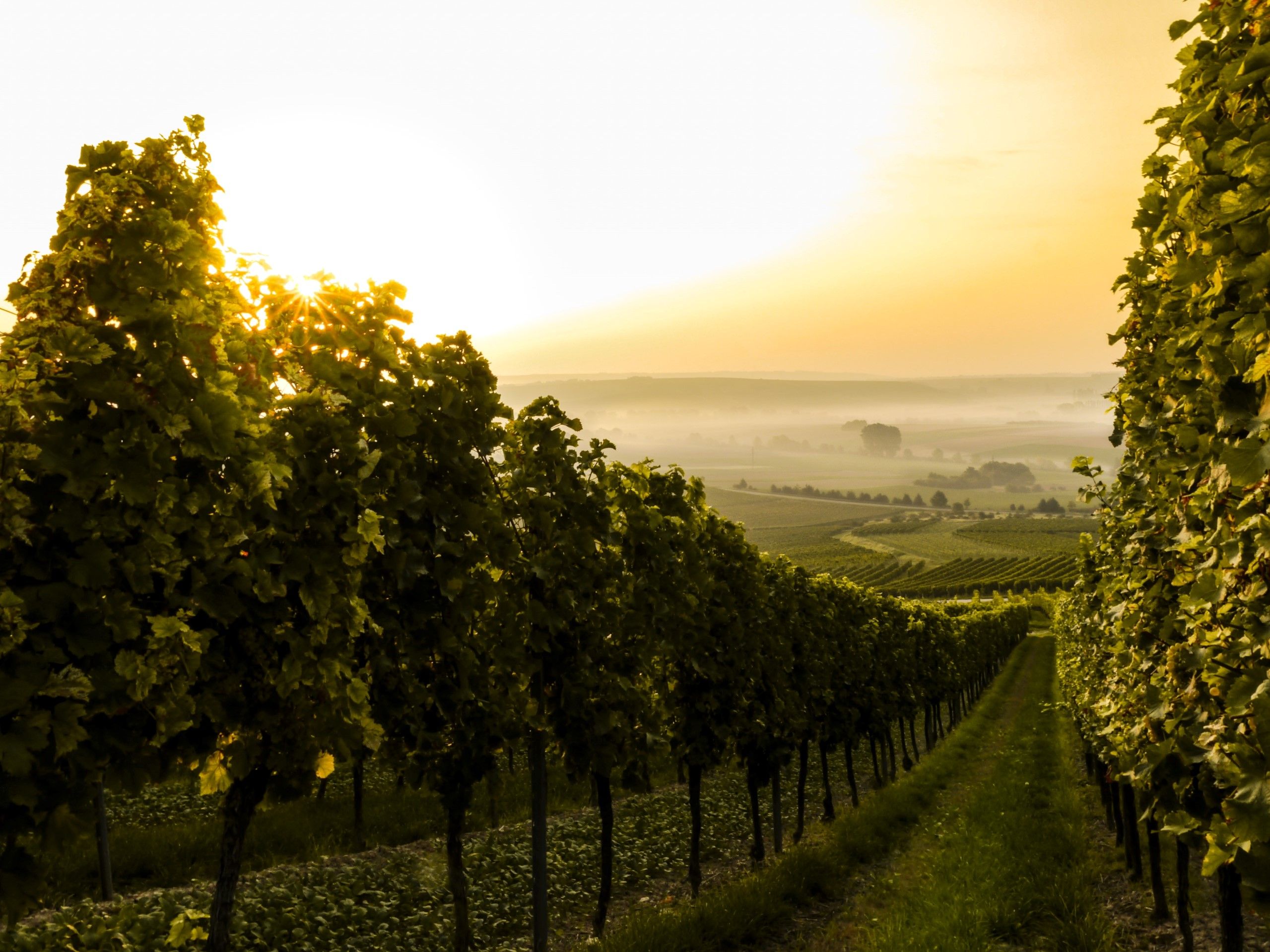 Zahnarzt Bad Neuenahr Ahrweiler